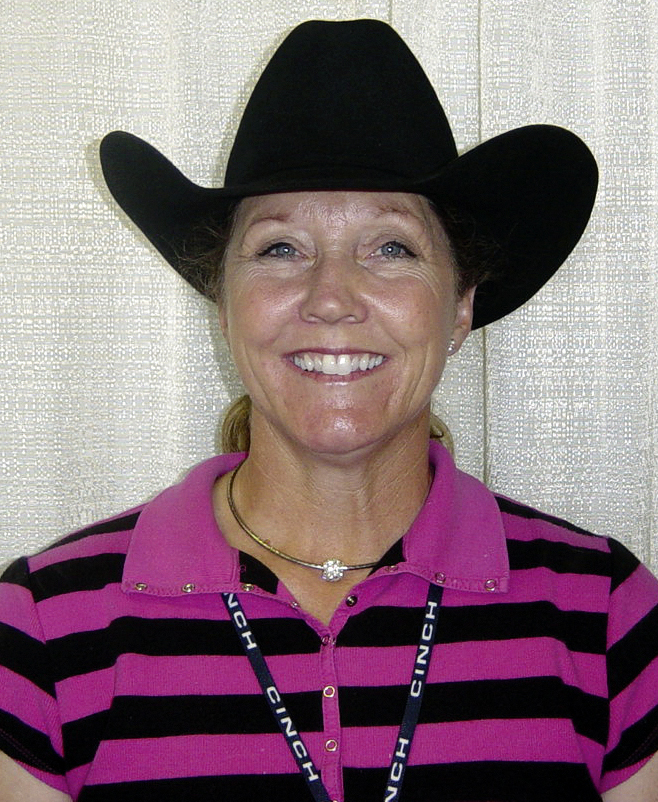 coach classic equine
